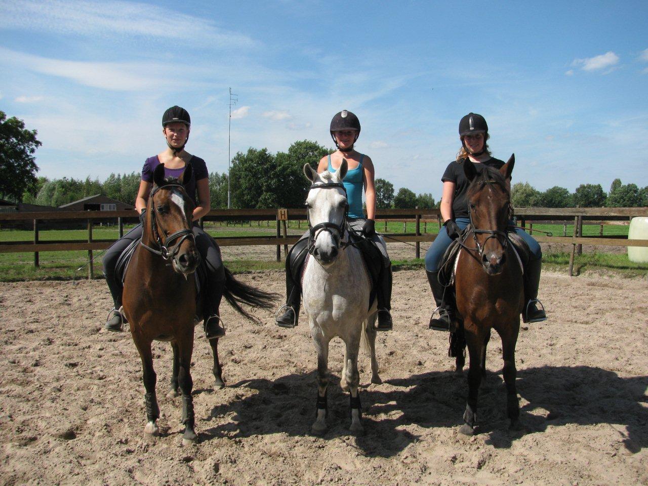 Gezellig op ponykamp
